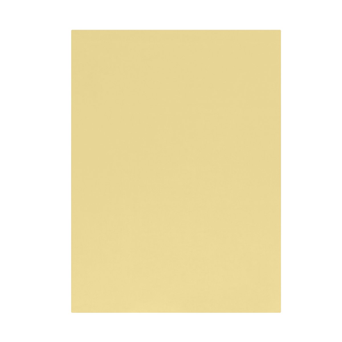 Drap plat Influence Percale Mimosa