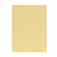 Drap plat Influence Percale Mimosa
