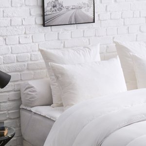 Protège oreiller blanc bien être 60x60 cm DODO : le lot de 2 protèges  oreillers à Prix Carrefour
