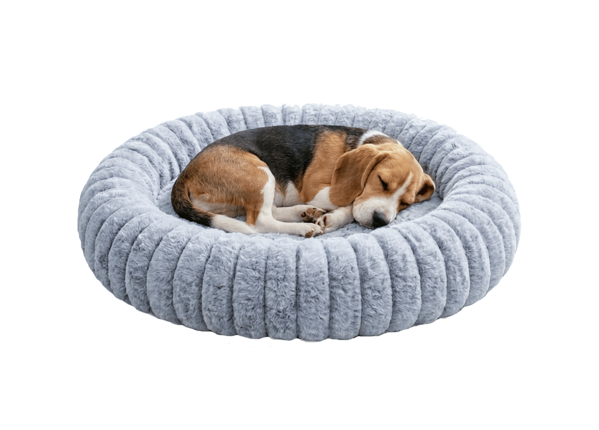 couchage pour animaux