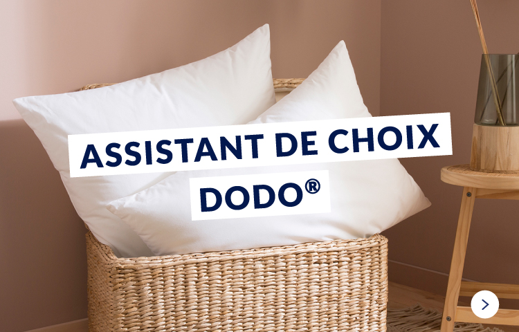 Assistant de choix