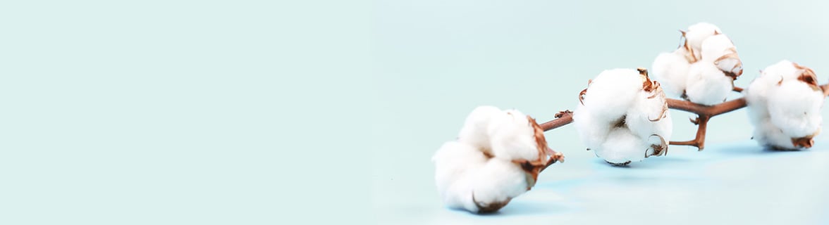 Coton Bio